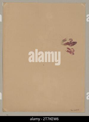 Marie Lippert-Hoerner genziana pannonica. Designazione matita, acquerello Foto Stock