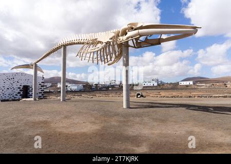 Fueurtaventura Isole Canarie Foto Stock