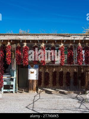 Ristras peperoncino in vendita, Mesilla, New Mexico Foto Stock