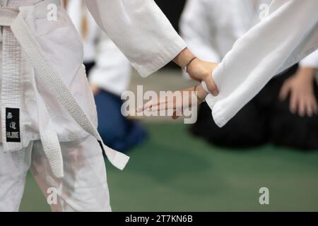 Donne che praticano l'Aikido Foto Stock