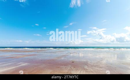 Carnoustie Beach, Angus, Scozia Foto Stock