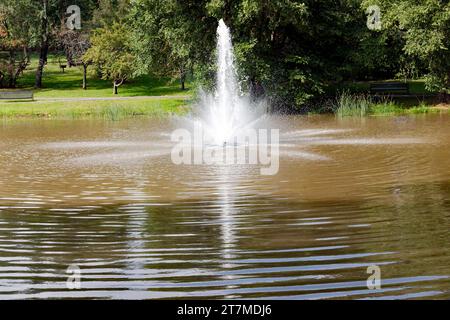 Il Larz Anderson Park è un parco boscoso, paesaggistico e acquatico di 64 ettari circa a Brookline, Massachusetts. Foto Stock