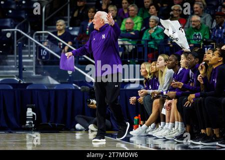 South Bend, Indiana, USA. 15 novembre 2023. L'allenatore della Northwestern Joe McKeown reagisce a una chiamata durante la partita di pallacanestro femminile NCAA tra i Northwestern Wildcats e i Notre Dame Fighting Irish al Purcell Pavilion al Joyce Center di South Bend, Indiana. Notre Dame sconfisse Northwestern 110-52. John Mersits/CSM/Alamy Live News Foto Stock