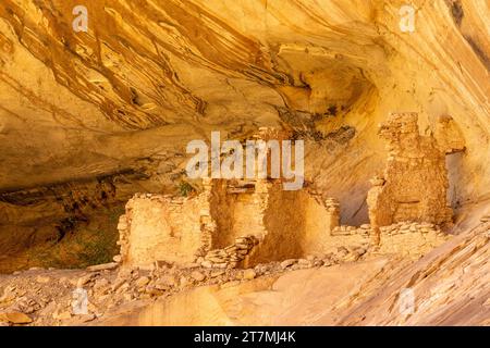 Monarch Cave Ruins, un'antica scogliera puebloana che dimora in un canyon laterale di Butler Wash, Bears Ears National Monument, Utah. Foto Stock