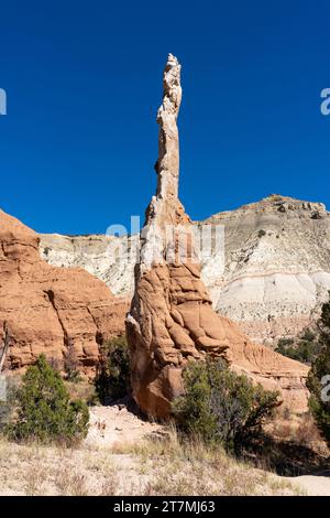 Una pipa di sabbia o una roccia a camino, una torre di roccia erosa nel Kodachrome Basin State Park nello Utah. Foto Stock