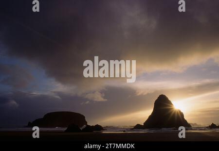 Whalehead Rocks, Samuel Boardman State Park, Oregon Foto Stock