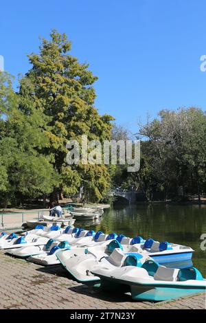 Lago nautico, Giardini di Cişmigiu (Grădina Cișmigiu), Bulevardul Regina Elisabeta, Centro storico, Bucarest, comune di Bucarest, Romania, Europa Foto Stock