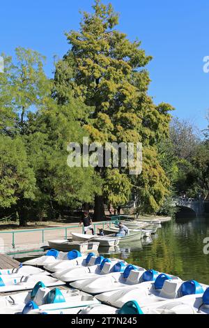 Lago nautico, Giardini di Cişmigiu (Grădina Cișmigiu), Bulevardul Regina Elisabeta, Centro storico, Bucarest, comune di Bucarest, Romania, Europa Foto Stock