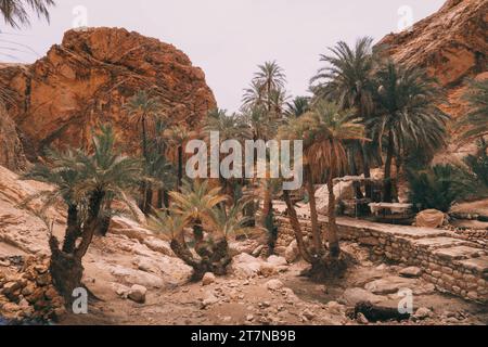 L'oasi di Chebika con le palme e le rocce sabbiose nel deserto del Sahara in Tunisia. Foto Stock