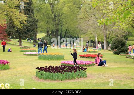 Parco dei tulipani "Parco Giardino Sigurtà", Valeggio sul Mincio, Italia Foto Stock