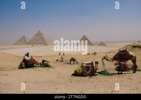 Un gruppo di cammelli e persone si prende una pausa dal loro viaggio tra le maestose piramidi nel deserto del Sahara Foto Stock