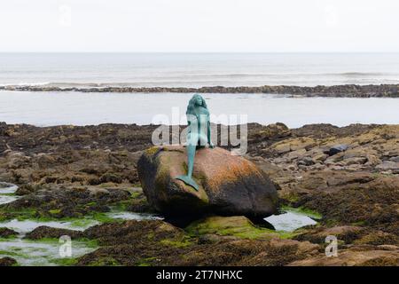 In Balintore,Tain Scozia, su una roccia nel mare denominata 'Clach Dubh" (black rock) siede il bronzo Mermaid statua conosciuta come 'La sirenetta del nord". Foto Stock