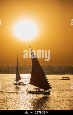Tradizionali barche a vela in feluca sul Nilo vicino a Luxor, Egitto Foto Stock
