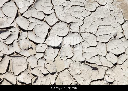 Primo piano del fango secco incrinato, causato dall'evaporazione rapida dell'acqua nel caldo del sole estivo. Foto Stock