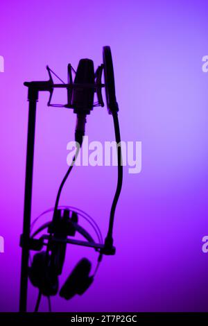 Microfono cardioide a diaframma grande in studio VoiceOver in studi professionali di registrazione vocale. Foto Stock