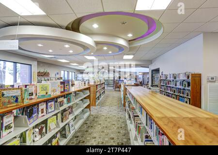 Scaffali pieni di libri che circondano una tranquilla area di lettura nella biblioteca della contea di Madison, Idaho. Foto Stock