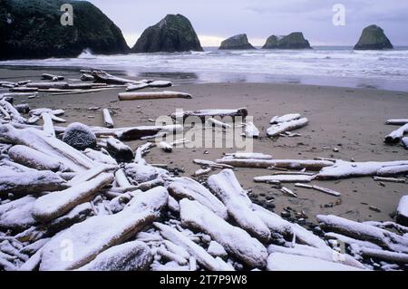 Crescent Beach, Ecola State Park, Lewis and Clark National Historical Park, Oregon Foto Stock