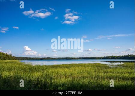 Lago nel Wilderness of Itasca State Park, Minnesota Foto Stock