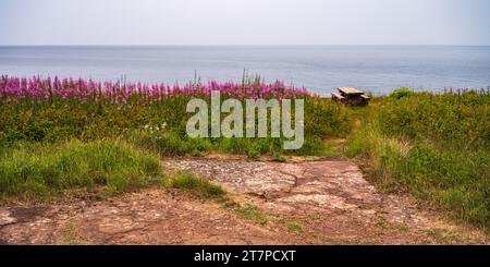 Fiori e tavolo da picnic sulla sponda nord del lago Superior nel parco statale Gooseberry Falls del Minnesota Foto Stock