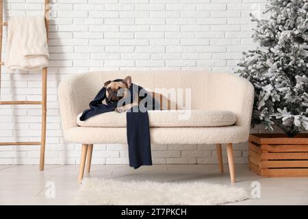 Bel bulldog francese con sciarpa sul divano vicino a un muro di mattoni bianchi Foto Stock