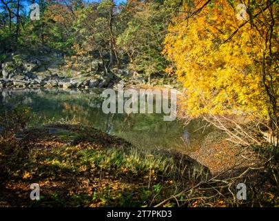 Brickyard Community Park BC Foto Stock