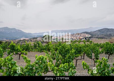 Paesaggi sulle colline di Tarragona intorno al paese di Gratallops con vigneti nella zona viticola della denominazione di origine Priorat Foto Stock