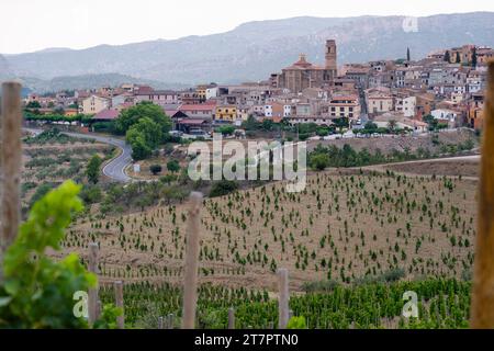 Paesaggi sulle colline di Tarragona intorno al paese di Gratallops con vigneti nella zona viticola della denominazione di origine Priorat Foto Stock