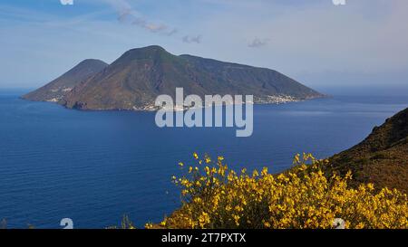 Cespugli di scopa, Salina, isola, Lipari, Isole Lipari, isole Eolie, Sicilia, Italia Foto Stock