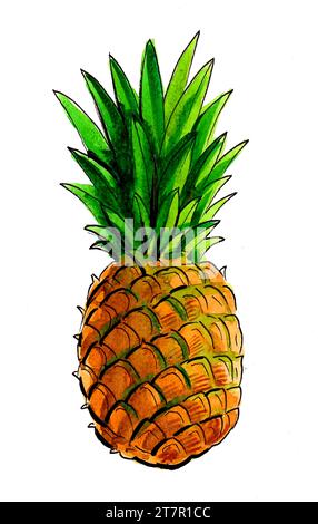 Frutta dell'ananas. Illustrazione di inchiostro disegnato a mano e acquerello Foto Stock