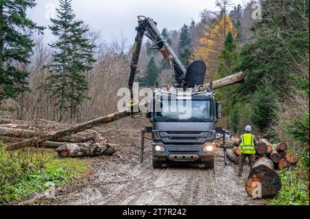 Un forester che supervisiona il caricamento dei tronchi su un carrello. Carpazi, Polonia. Foto Stock