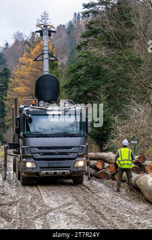 Un forester che supervisiona il caricamento dei tronchi su un carrello. Carpazi, Polonia. Foto Stock