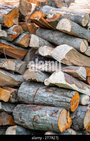 Pila di legna da ardere di specie miste. Foto Stock