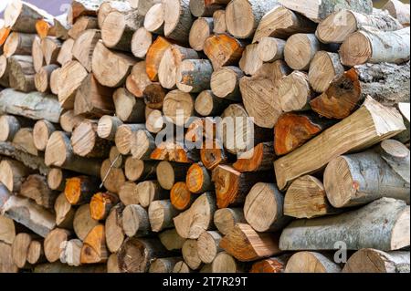 Pila di legna da ardere di specie miste. Foto Stock