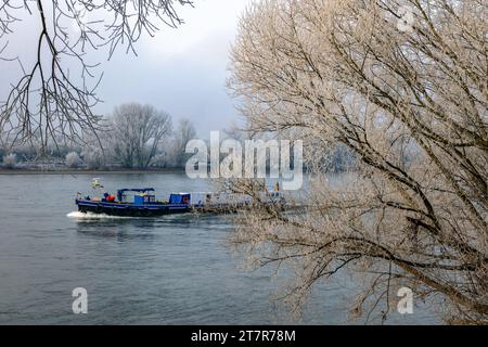 Una chiatta fluviale che risale il Reno in inverno, con brina sugli alberi in uno sfondo nebbioso in primo piano Foto Stock