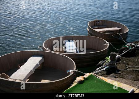 Una tarai-bune, o barca a vasca, è una tradizionale barca da pesca giapponese che si trova principalmente sull'isola di Sado nella prefettura di Niigata, in Giappone. Foto Stock