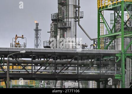 15 novembre 2023, Brandeburgo, Schwedt/Oder: Vari impianti di trasformazione del petrolio greggio nei locali della PCK-raffinerie GmbH. La raffineria di Schwedt, nella regione di Uckermark nel nord-est del Brandeburgo, fornisce carburante a gran parte della Germania nord-orientale. È di proprietà maggioritaria di due controllate della società statale russa Rosneft. Fino alla fine del 2022, PCK ha lavorato principalmente petrolio greggio proveniente dalla Russia. Come parte delle sanzioni imposte a causa della guerra di aggressione della Russia contro l'Ucraina, il governo tedesco ha deciso di smettere di usare il petrolio russo. In alternativa, il petrolio arriva attraverso Danzica e Rost Foto Stock