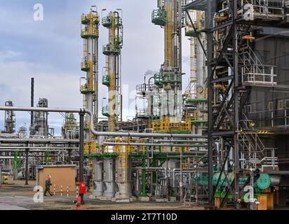 15 novembre 2023, Brandeburgo, Schwedt/Oder: Vari impianti di trasformazione del petrolio greggio nei locali della PCK-raffinerie GmbH. La raffineria di Schwedt, nella regione di Uckermark nel nord-est del Brandeburgo, fornisce carburante a gran parte della Germania nord-orientale. È di proprietà maggioritaria di due controllate della società statale russa Rosneft. Fino alla fine del 2022, PCK ha lavorato principalmente petrolio greggio proveniente dalla Russia. Come parte delle sanzioni imposte a causa della guerra di aggressione della Russia contro l'Ucraina, il governo tedesco ha deciso di smettere di usare il petrolio russo. In alternativa, il petrolio arriva attraverso Danzica e Rost Foto Stock