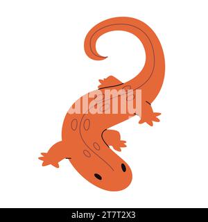 noce maculato rosso con pelle di colore arancio natura selvaggia animali anfibi specie uniche nel nord america Illustrazione Vettoriale