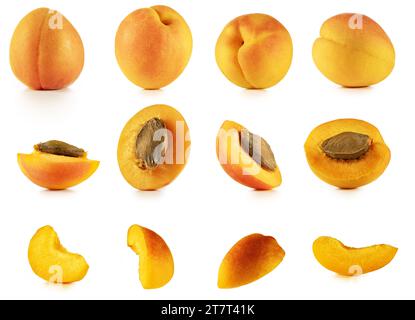 Set di frutti di albicocca interi, metà e quarto isolati su sfondo bianco. Collezione di scatti da studio autentici. Foto Stock