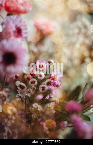 Bouquet di fiori rosa e viola Foto Stock