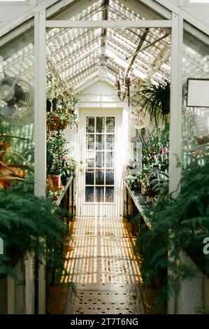 Reynolda Green House a Winston Salem, North Carolina Foto Stock