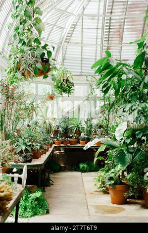 Reynolda Green House a Winston Salem, North Carolina Foto Stock