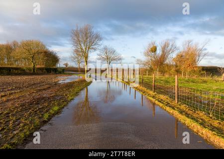 Una passeggiata su un sentiero agricolo e un sentiero nella campagna rurale di Wrington, nel Somerset settentrionale, in Inghilterra. Foto Stock