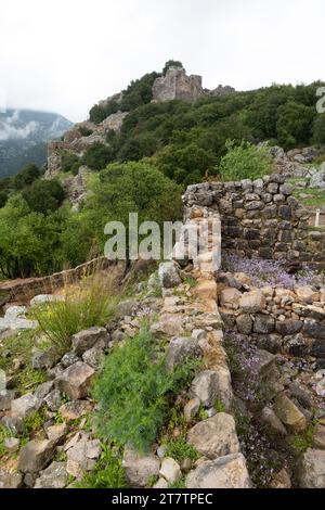 Vista di una sezione dell'antica fortezza in cima alla montagna chiamata castello di Nimrod in cima a una vetta ai piedi del monte Hermon in Galilea, Israele settentrionale Foto Stock