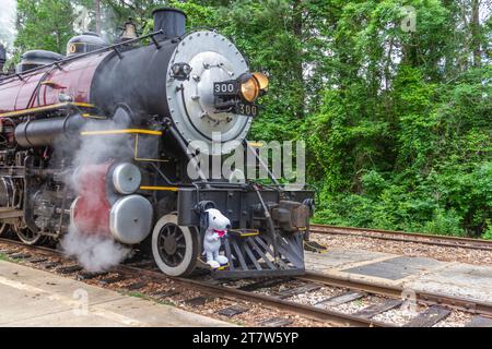 1917 locomotiva a vapore Baldwin 'Pershing' 300, classificazione di consolidamento, durante il fine settimana 2012 Railfest PhotoExcursion. Foto Stock