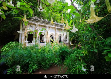 Il tempio buddista Wat Pha Lat nella giungla, Thailandia Foto Stock