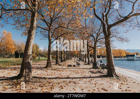 Una tranquilla scena autunnale con un lago con una fila di alberi lungo la sua riva Foto Stock