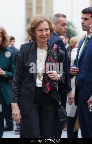 La Regina Sofia di Spagna durante l'inaugurazione di "El Rastrillo de Nuevo futuro", il 17 novembre 2023, a Madrid, Spagna. Foto Stock