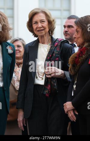 Madrid, Spagna. 17 novembre 2023. La Regina Sofia di Spagna durante l'inaugurazione di "El Rastrillo de Nuevo futuro", il 17 novembre 2023, a Madrid, Spagna. (Foto di Oscar Gonzalez/Sipa USA) (foto di Oscar Gonzalez/Sipa USA) credito: SIPA USA/Alamy Live News Foto Stock