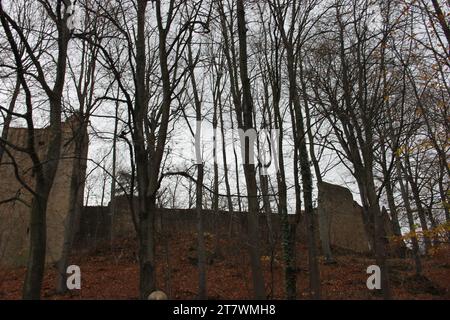 Castello di Hambach, il simbolo della democrazia tedesca Foto Stock